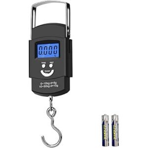 Electronic Digital Hanging Scale 50kg with LCD Display